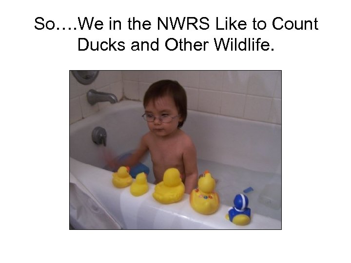 So…. We in the NWRS Like to Count Ducks and Other Wildlife. 