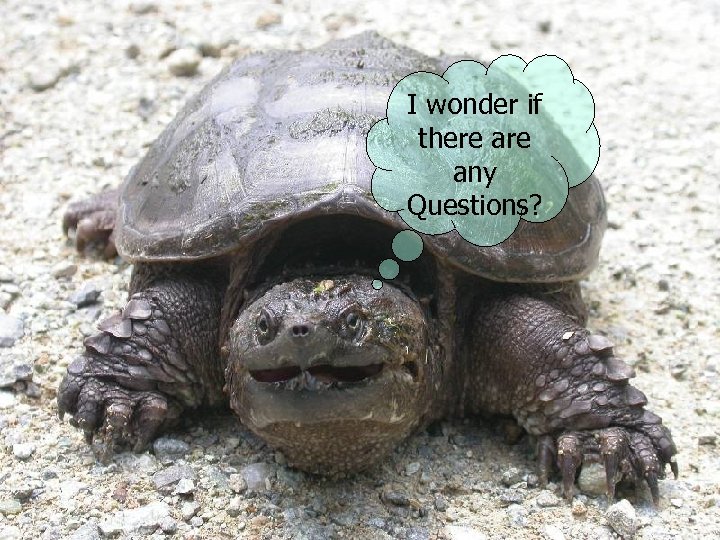 I wonder if there any Questions? 