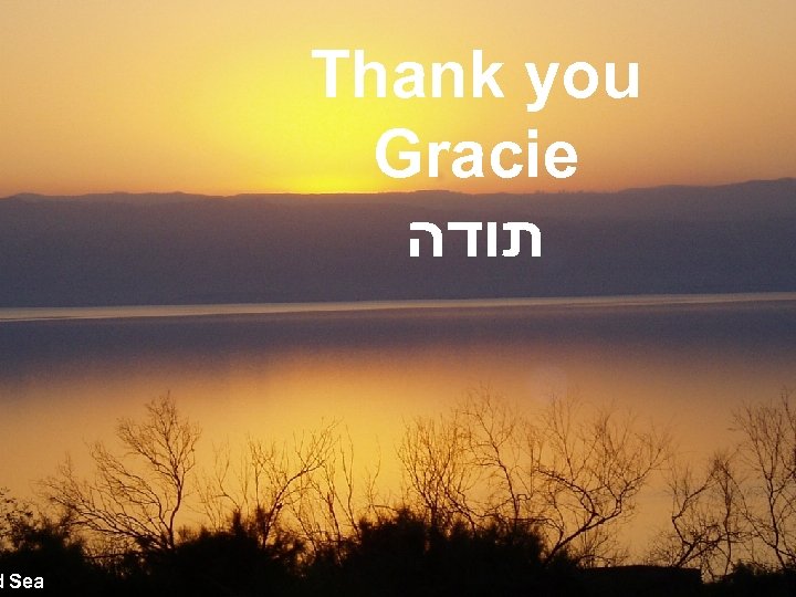 d Sea Thank you Gracie תודה 