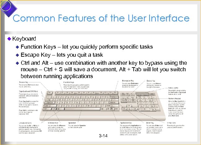 Common Features of the User Interface u Keyboard u Function Keys – let you