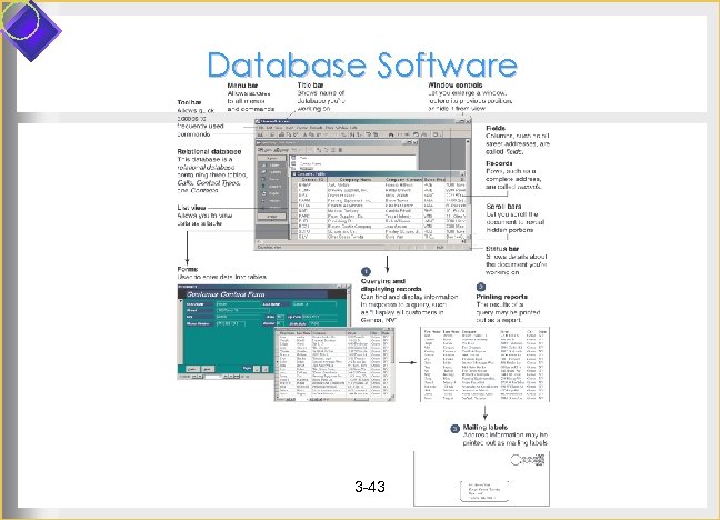 Database Software 3 -43 