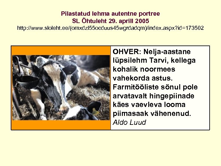 Pilastatud lehma autentne portree SL Õhtuleht 29. aprill 2005 http: //www. sloleht. ee/(omxdzl 55