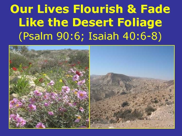 Our Lives Flourish & Fade Like the Desert Foliage (Psalm 90: 6; Isaiah 40:
