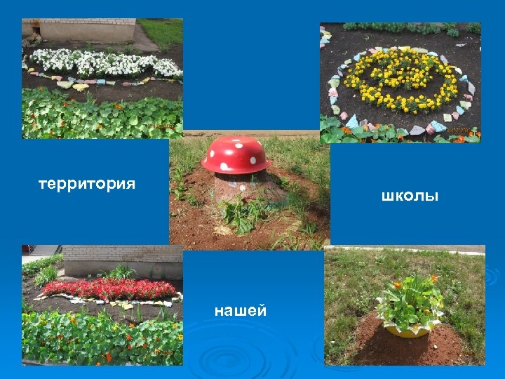 территория школы нашей 