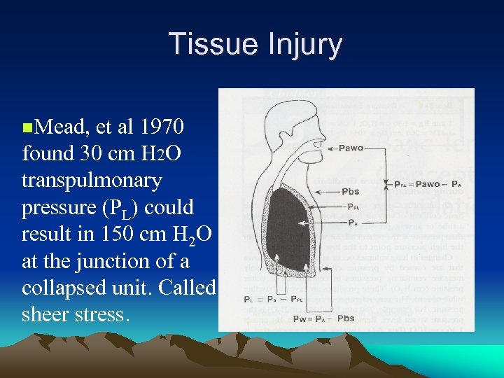 Tissue Injury n. Mead, et al 1970 found 30 cm H 2 O transpulmonary