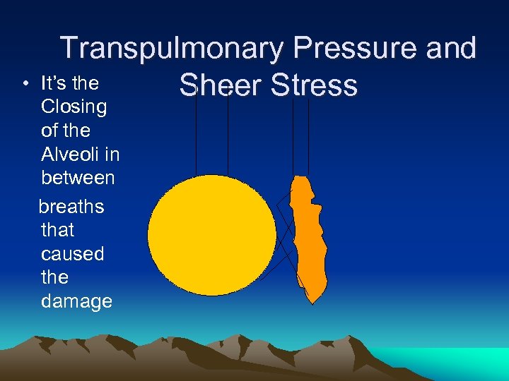  • Transpulmonary Pressure and It’s the Sheer Stress Closing of the Alveoli in