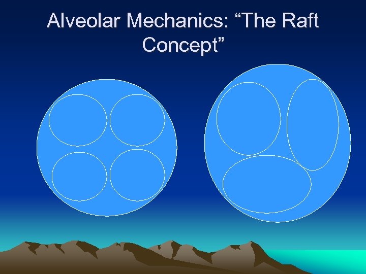 Alveolar Mechanics: “The Raft Concept” 