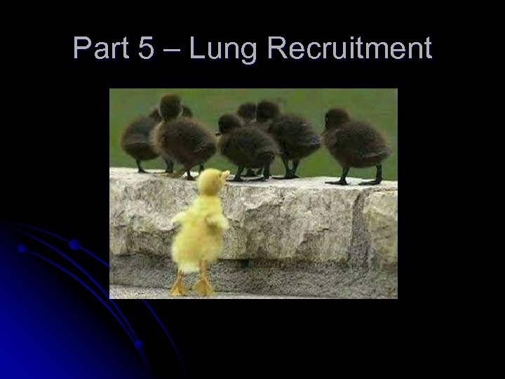 Part 5 – Lung Recruitment 