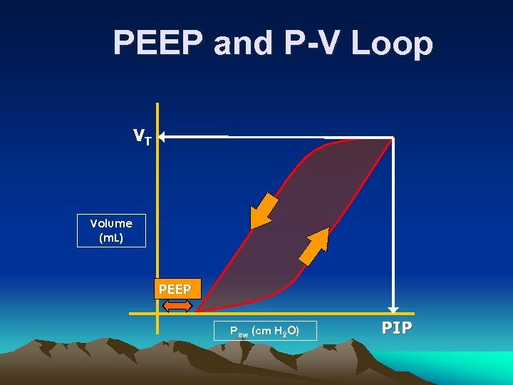 PEEP and P-V Loop VT Volume (m. L) PEEP Paw (cm H 2 O)