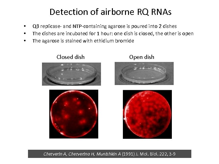 Detection of airborne RQ RNAs • • • Qβ replicase- and NTP-containing agarose is