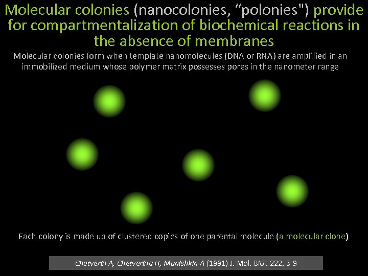 Molecular colonies (nanocolonies, “polonies") provide for compartmentalization of biochemical reactions in the absence of
