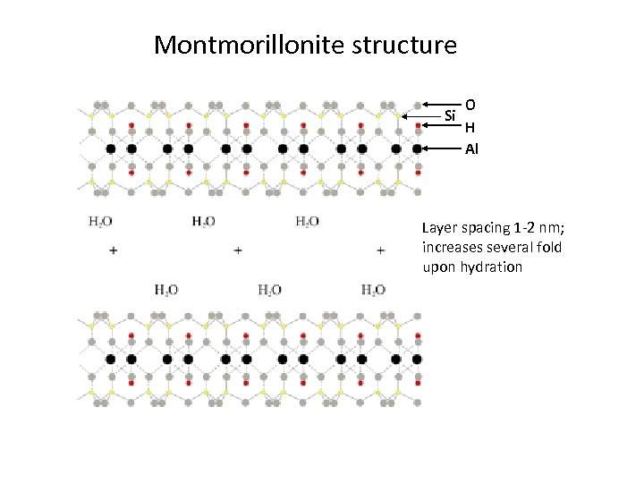 Montmorillonite structure Si O H Al Layer spacing 1 -2 nm; increases several fold