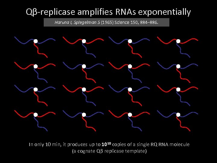 Qβ-replicase amplifies RNAs exponentially Haruna I, Spiegelman S (1965) Science 150, 884– 886. In