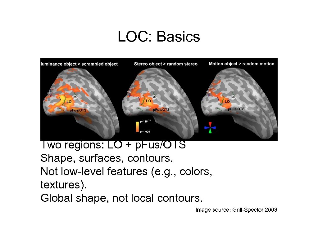 LOC: Basics Two regions: LO + p. Fus/OTS Shape, surfaces, contours. Not low-level features