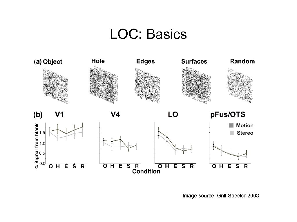 LOC: Basics Image source: Grill-Spector 2008 