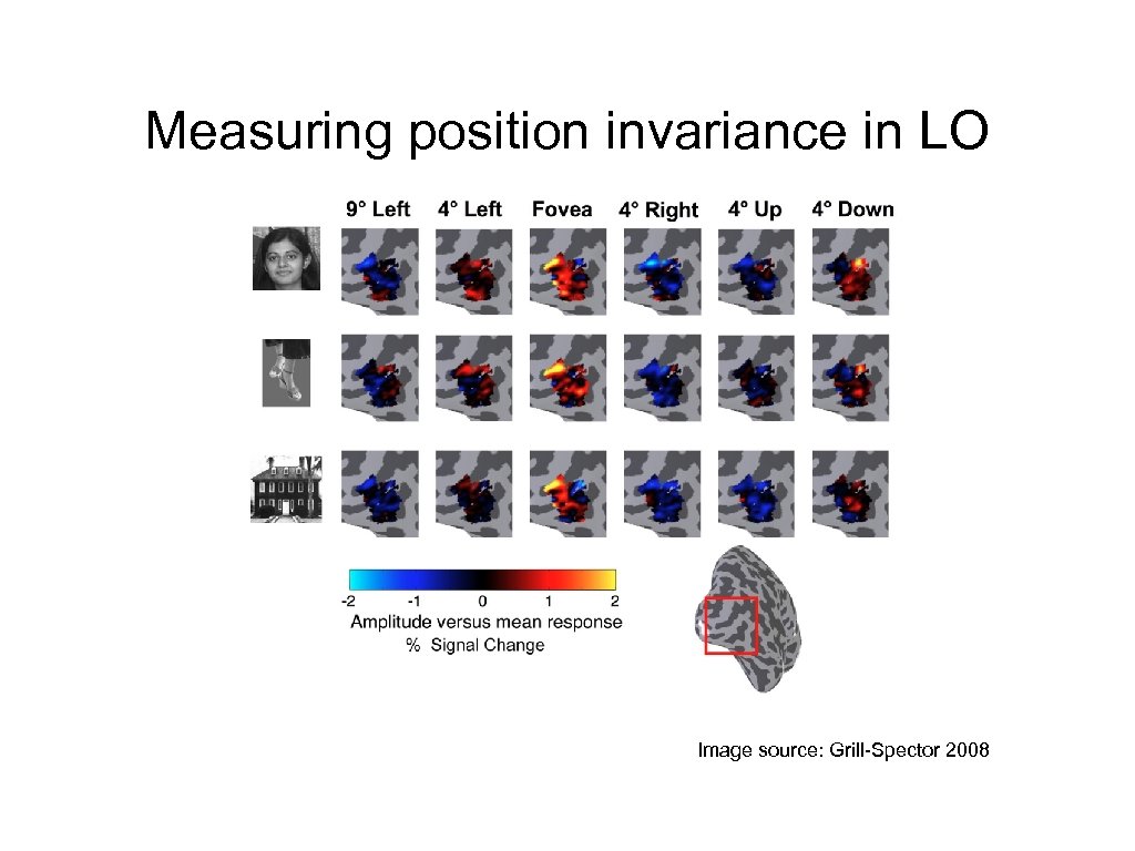 Measuring position invariance in LO Image source: Grill-Spector 2008 