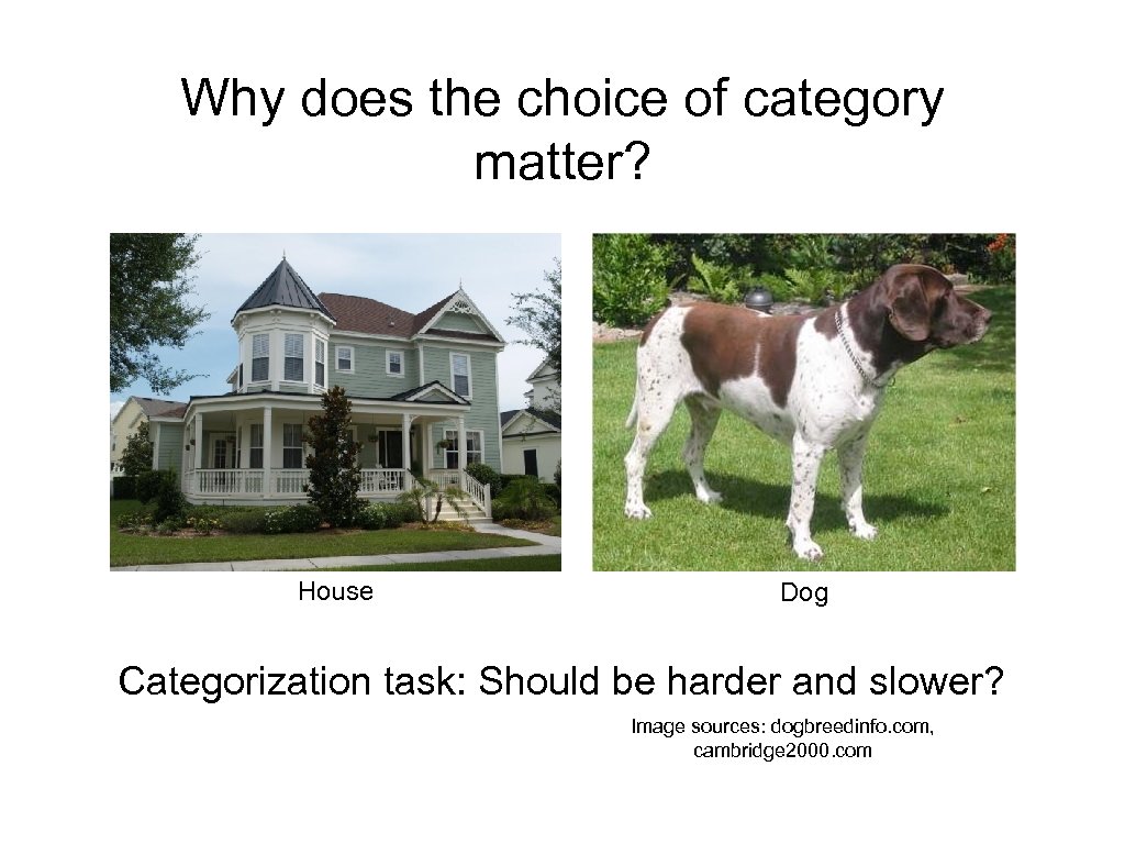 Why does the choice of category matter? House Dog Categorization task: Should be harder