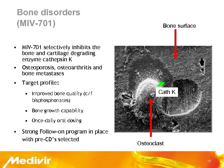 Bone disorders (MIV-701) Bone surface • MIV-701 selectively inhibits the bone and cartilage degrading