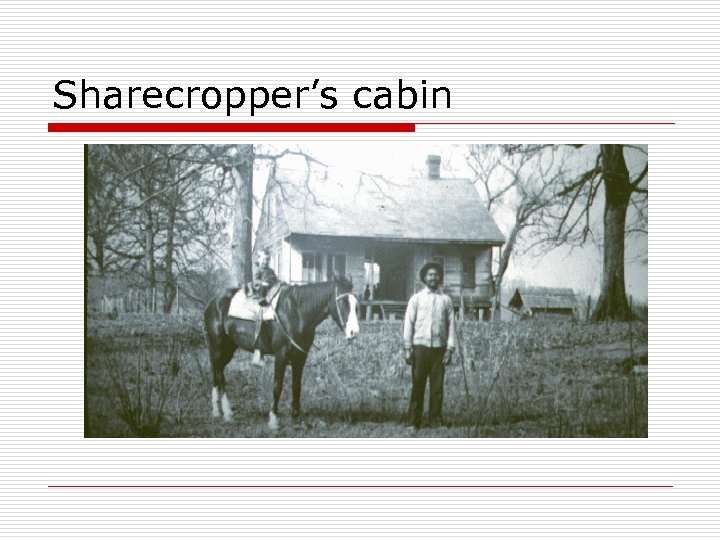 Sharecropper’s cabin 