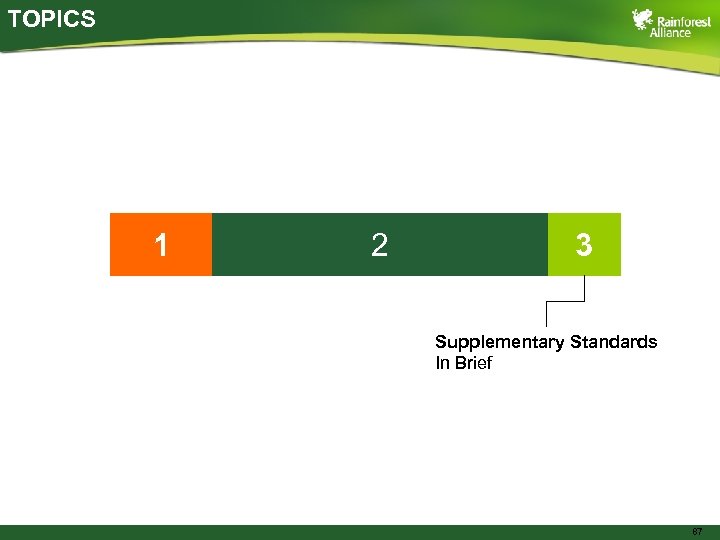 TOPICS 1 2 3 Supplementary Standards In Brief 87 