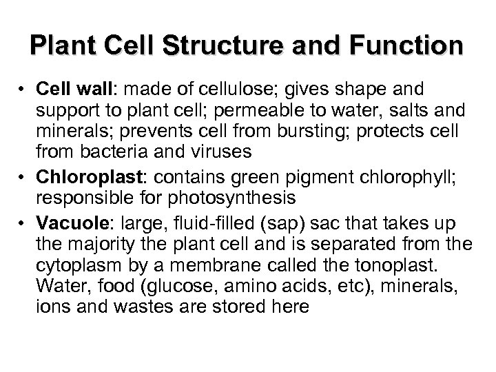 Plant Cell Structure and Function • Cell wall: made of cellulose; gives shape and