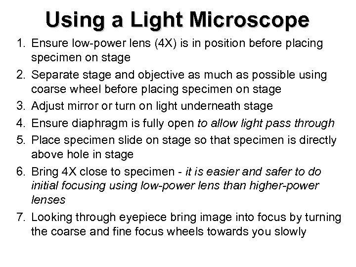 Using a Light Microscope 1. Ensure low-power lens (4 X) is in position before