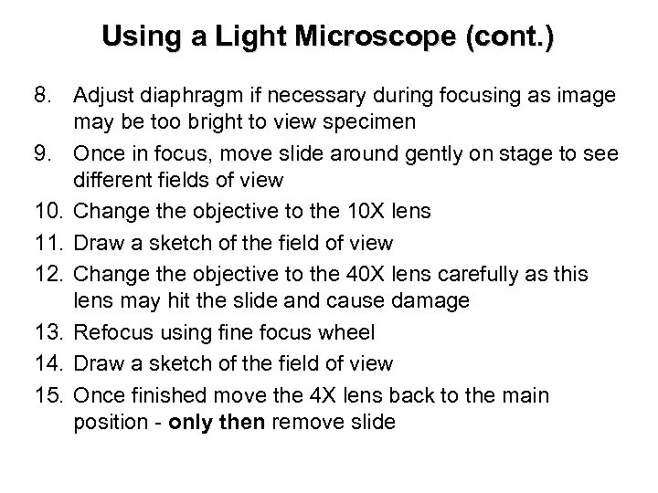 Using a Light Microscope (cont. ) 8. Adjust diaphragm if necessary during focusing as