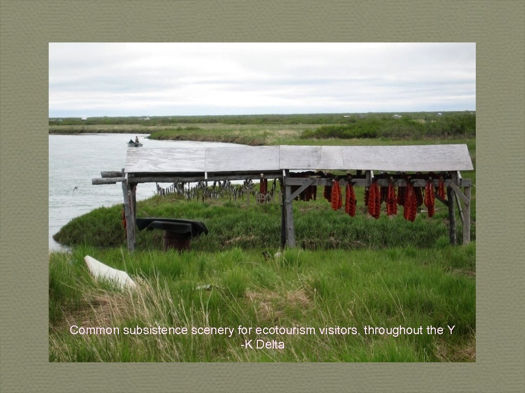 Text Common subsistence scenery for ecotourism visitors, throughout the Y -K Delta 