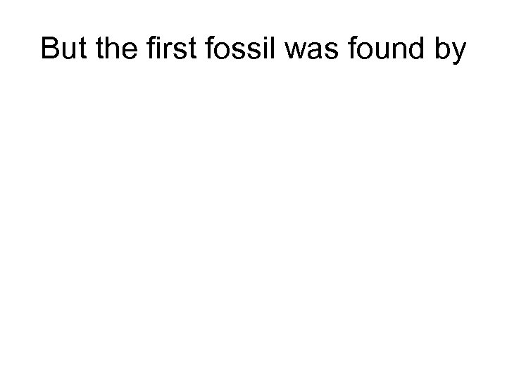 But the first fossil was found by 