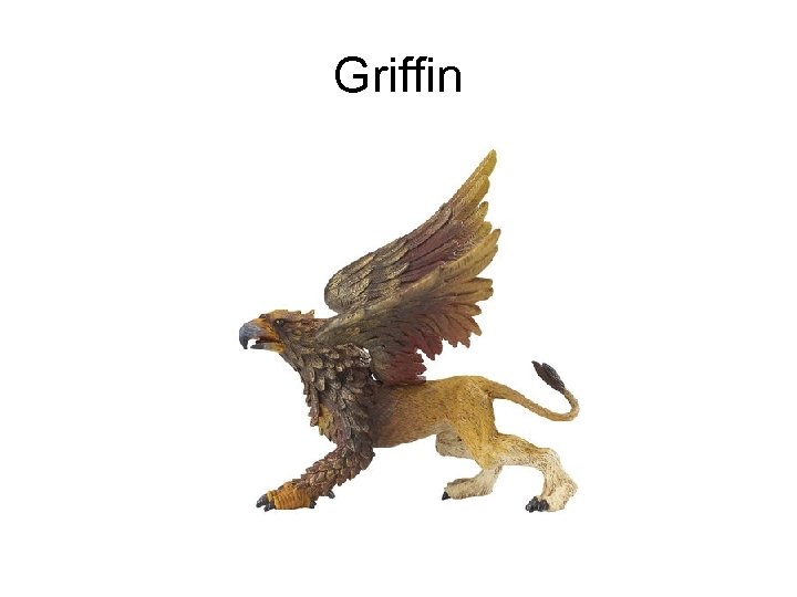 Griffin 