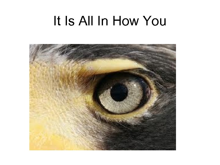 It Is All In How You 