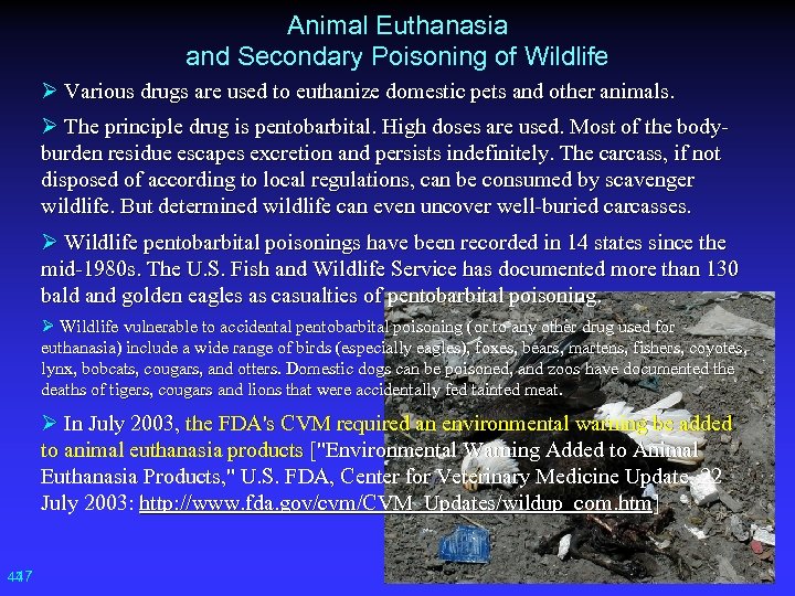 Animal Euthanasia and Secondary Poisoning of Wildlife Ø Various drugs are used to euthanize