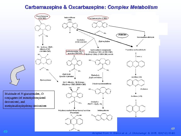 Carbamazepine & Oxcarbazepine: Complex Metabolism Oxidation Multitude of N-glucuronides, Oconjugates (of monohydroxylated derivatives), and