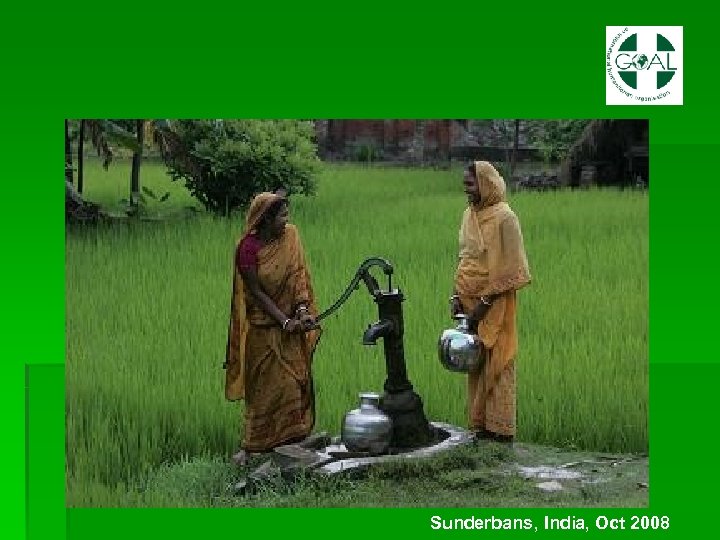 Sunderbans, India, Oct 2008 