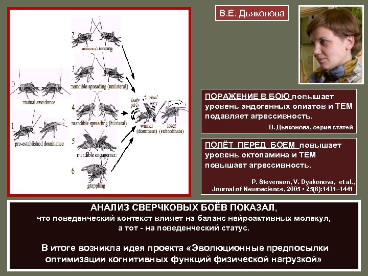 В. Е. Дьяконова ПОРАЖЕНИЕ В БОЮ повышает уровень эндогенных опиатов и ТЕМ подавляет агрессивность.
