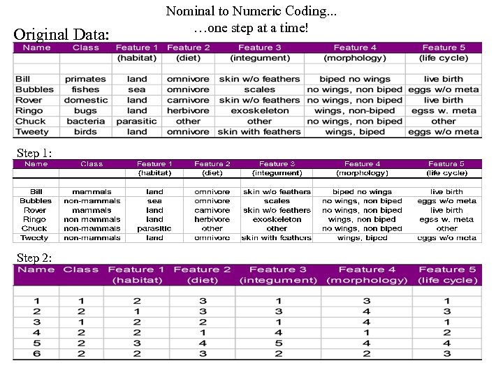 Original Data: Step 1: Step 2: Nominal to Numeric Coding. . . …one step
