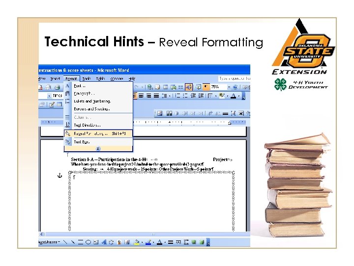 Technical Hints – Reveal Formatting 