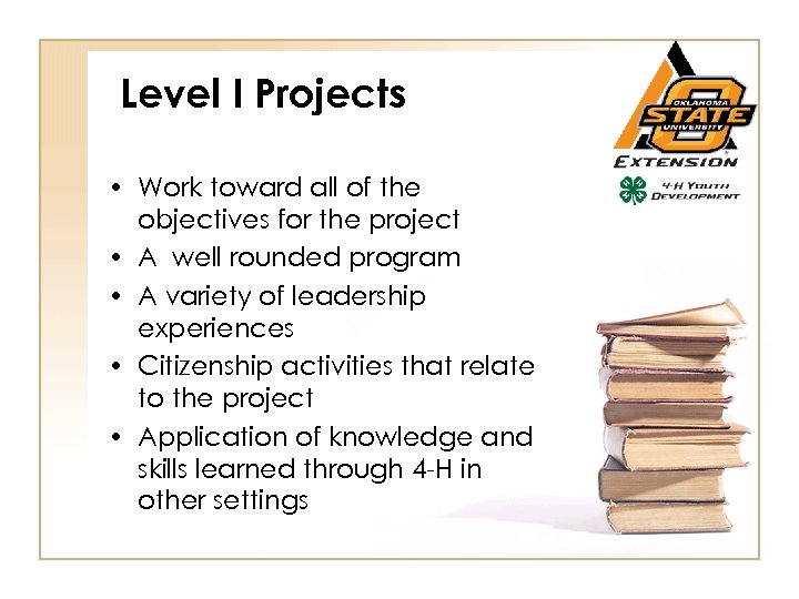 Level I Projects • Work toward all of the objectives for the project •