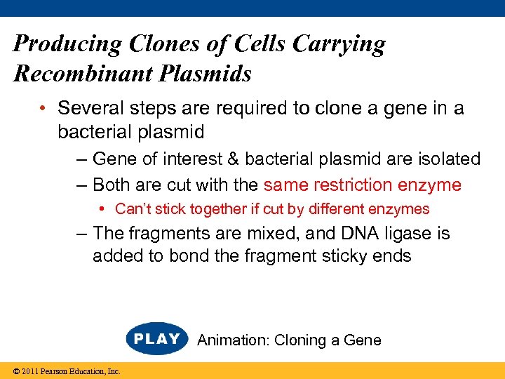 Producing Clones of Cells Carrying Recombinant Plasmids • Several steps are required to clone