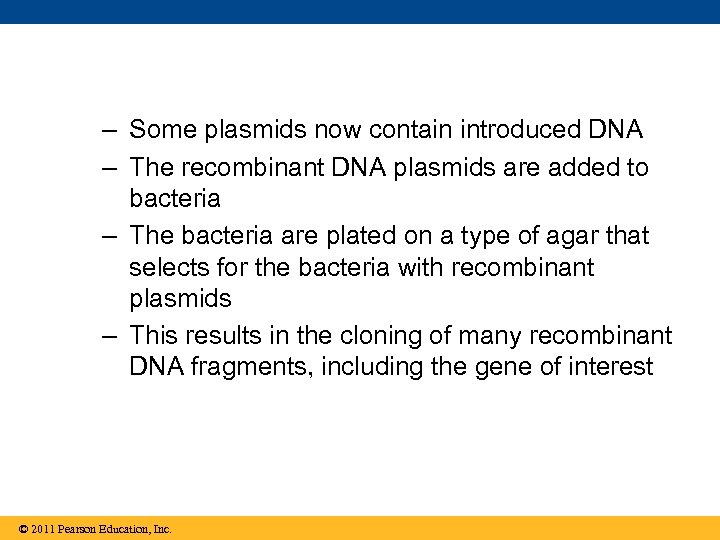 – Some plasmids now contain introduced DNA – The recombinant DNA plasmids are added