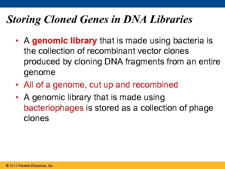 Storing Cloned Genes in DNA Libraries • A genomic library that is made using
