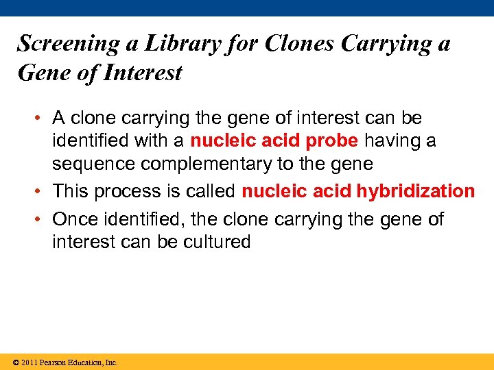 Screening a Library for Clones Carrying a Gene of Interest • A clone carrying