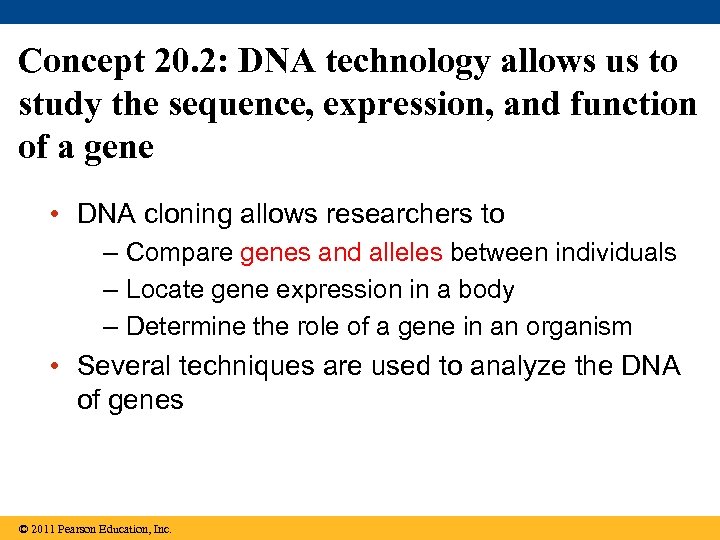 Concept 20. 2: DNA technology allows us to study the sequence, expression, and function