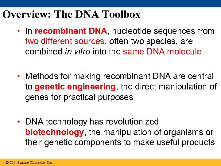 Overview: The DNA Toolbox • In recombinant DNA, nucleotide sequences from two different sources,