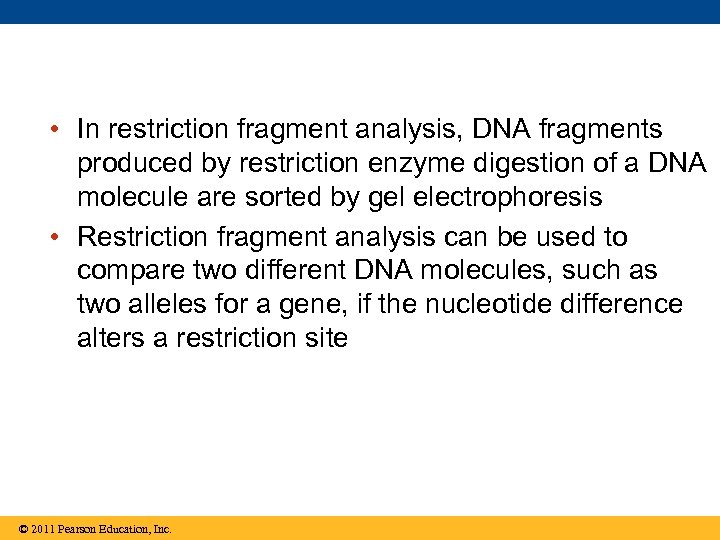  • In restriction fragment analysis, DNA fragments produced by restriction enzyme digestion of