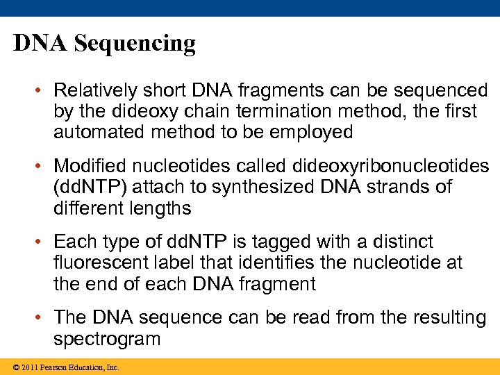DNA Sequencing • Relatively short DNA fragments can be sequenced by the dideoxy chain
