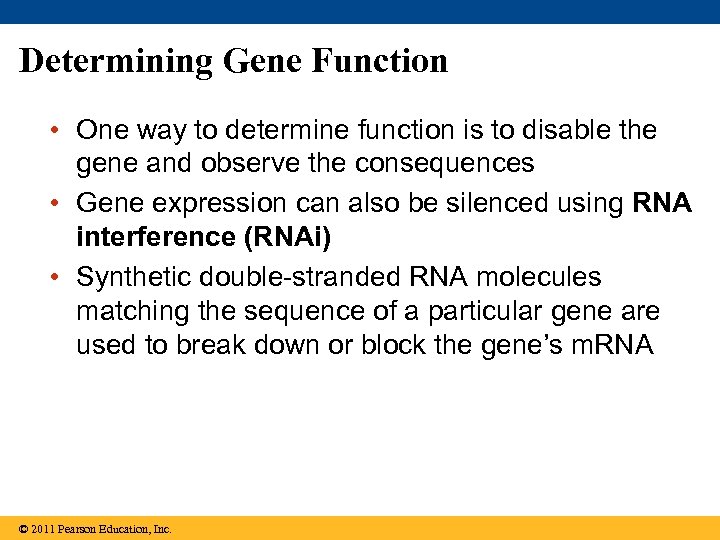 Determining Gene Function • One way to determine function is to disable the gene