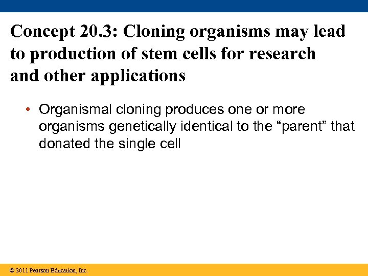 Concept 20. 3: Cloning organisms may lead to production of stem cells for research
