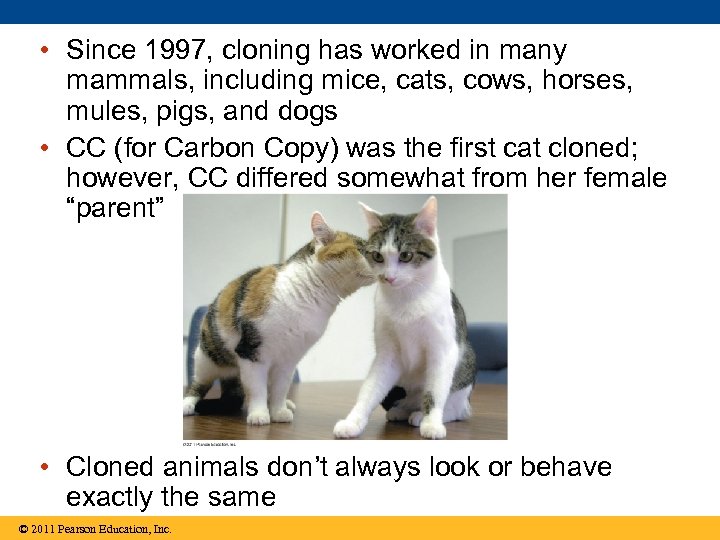  • Since 1997, cloning has worked in many mammals, including mice, cats, cows,