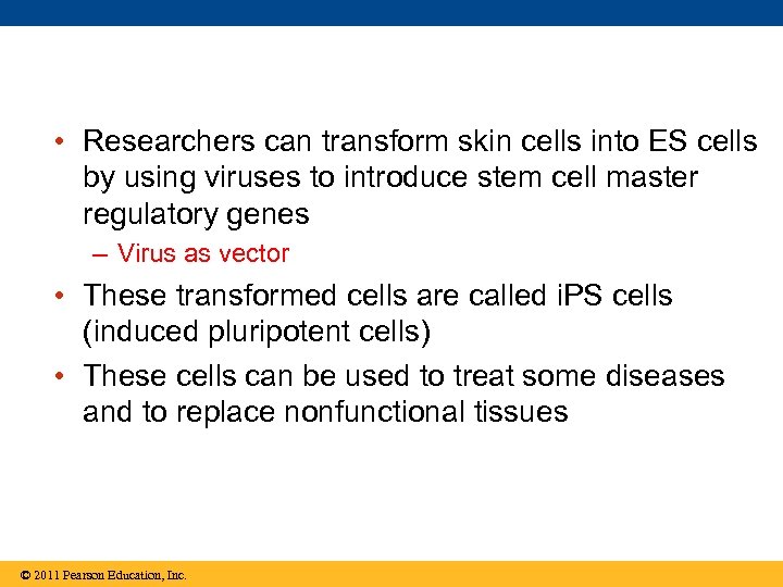  • Researchers can transform skin cells into ES cells by using viruses to